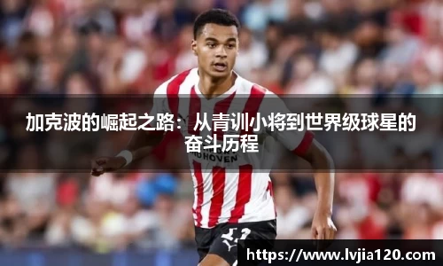 南宫ng·28官方网站